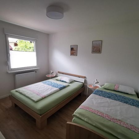 Ferienwohnung Blick Rappenstein Hausen am Tann Экстерьер фото