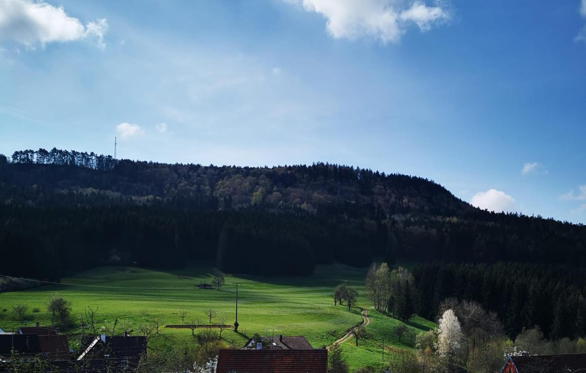 Ferienwohnung Blick Rappenstein Hausen am Tann Экстерьер фото