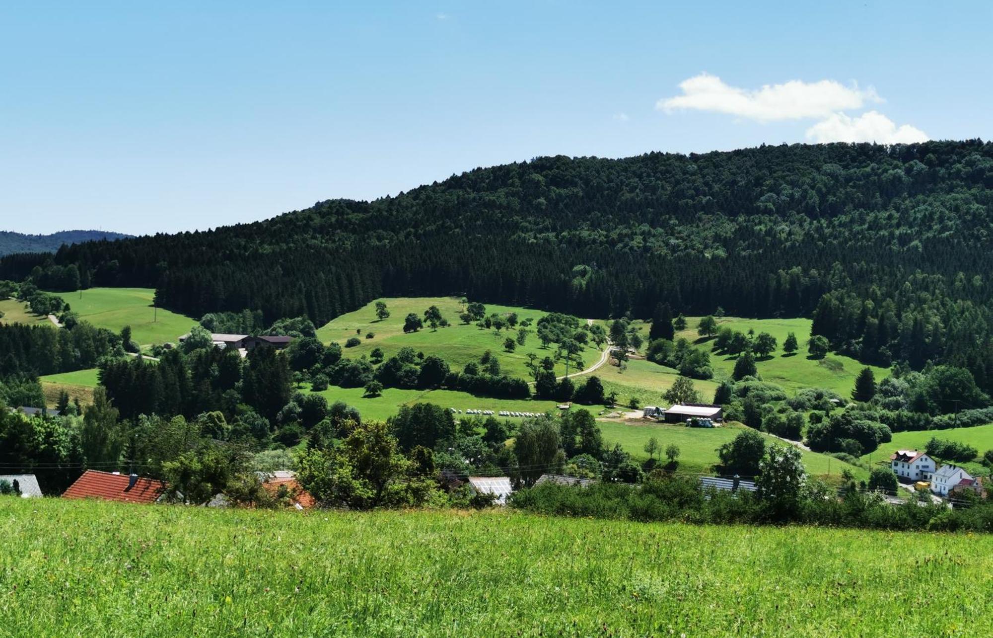 Ferienwohnung Blick Rappenstein Hausen am Tann Экстерьер фото