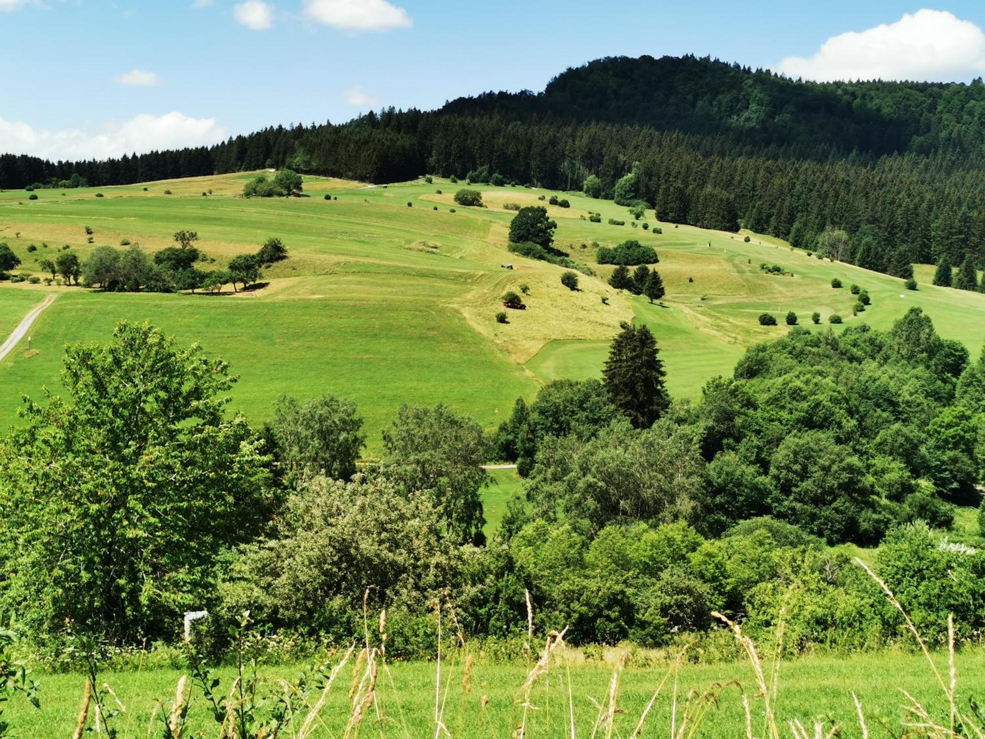 Ferienwohnung Blick Rappenstein Hausen am Tann Экстерьер фото