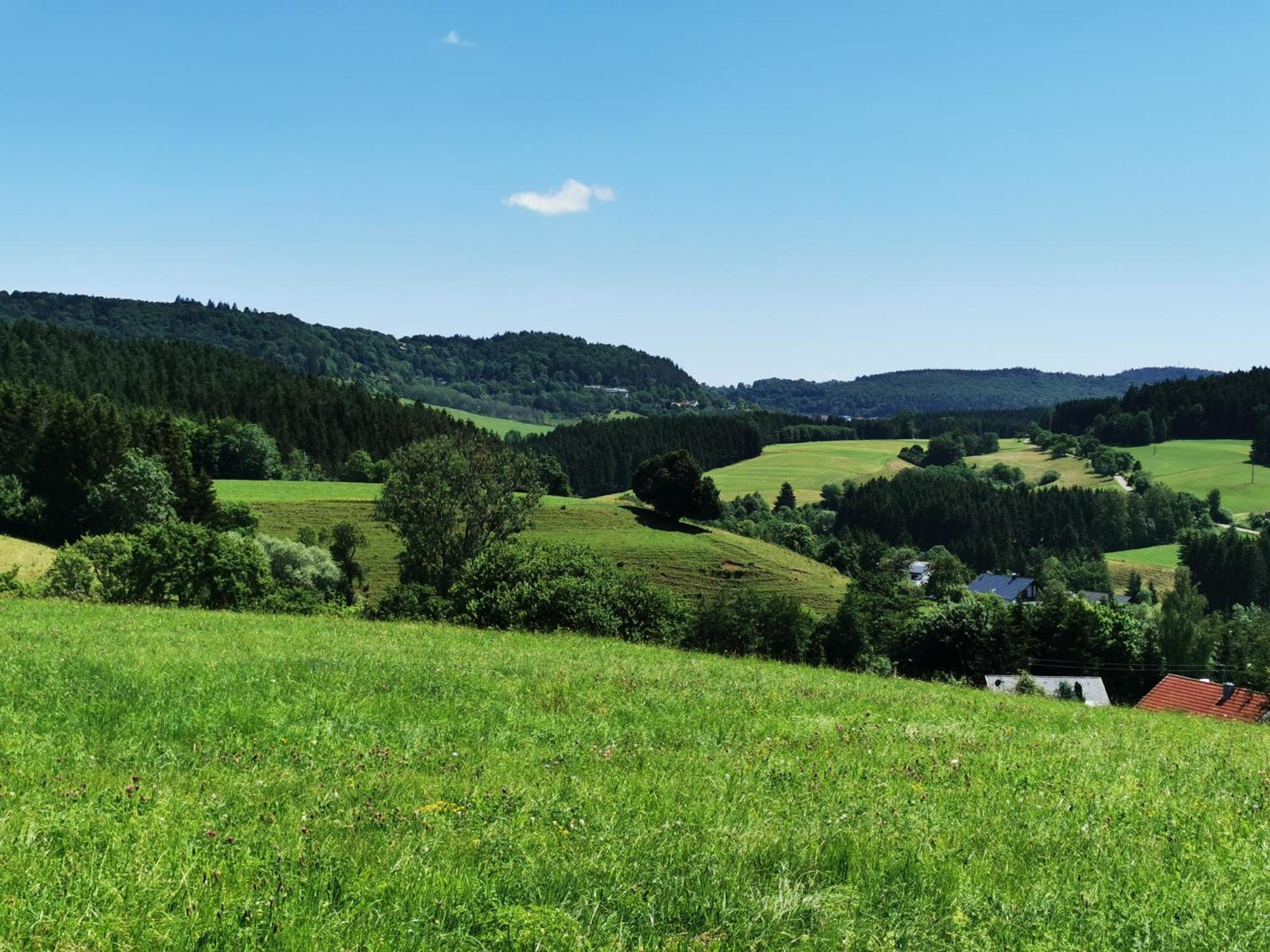Ferienwohnung Blick Rappenstein Hausen am Tann Экстерьер фото